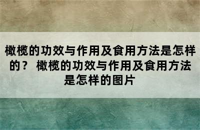 橄榄的功效与作用及食用方法是怎样的？ 橄榄的功效与作用及食用方法是怎样的图片